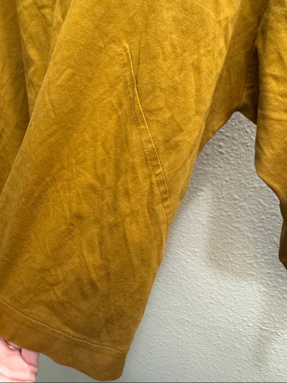 Everlane Cropped Boatneck Long Sleeve Top in Mustard - Picture 3 of 5